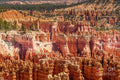Bryce Canyon Navajo Trail Print