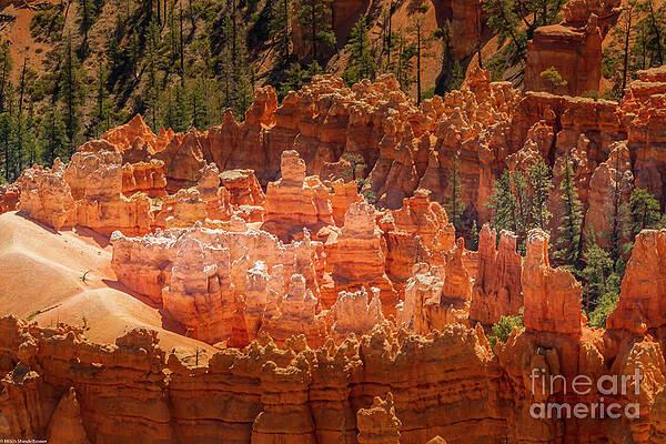 Bryce Canyon Sand Dunes And Hoodoos Print