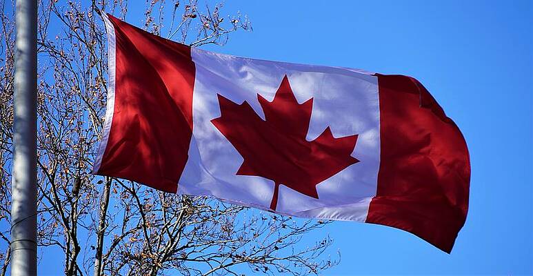 Canadian Flag, On Remembrance Day Print
