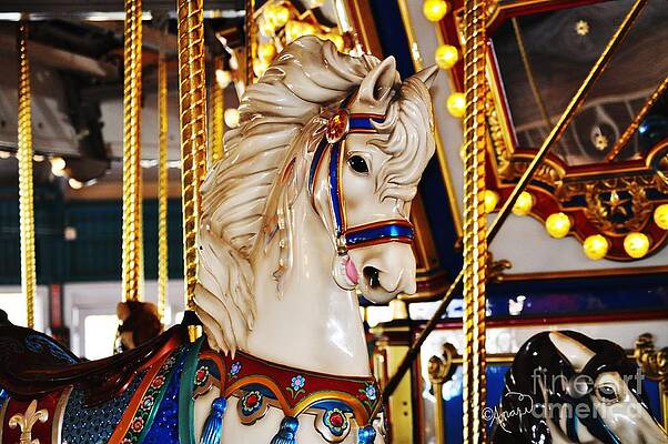Carousel Ride Print