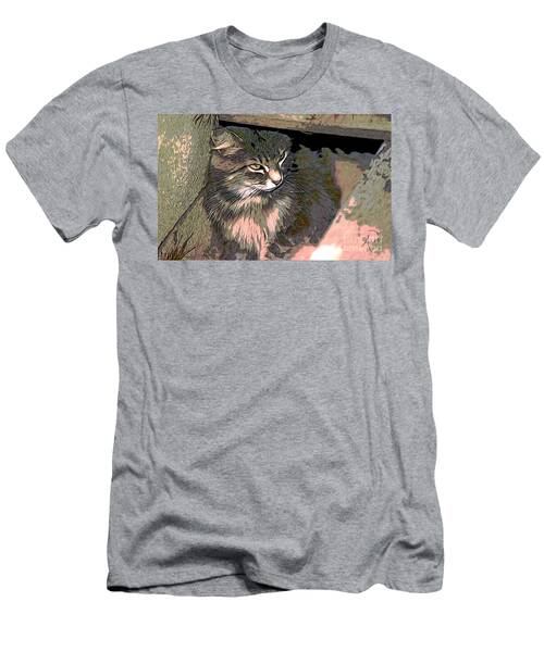 Cat In Hiding T-Shirt
