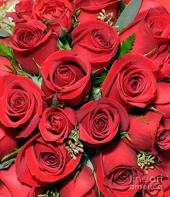 Red Red  Roses Print