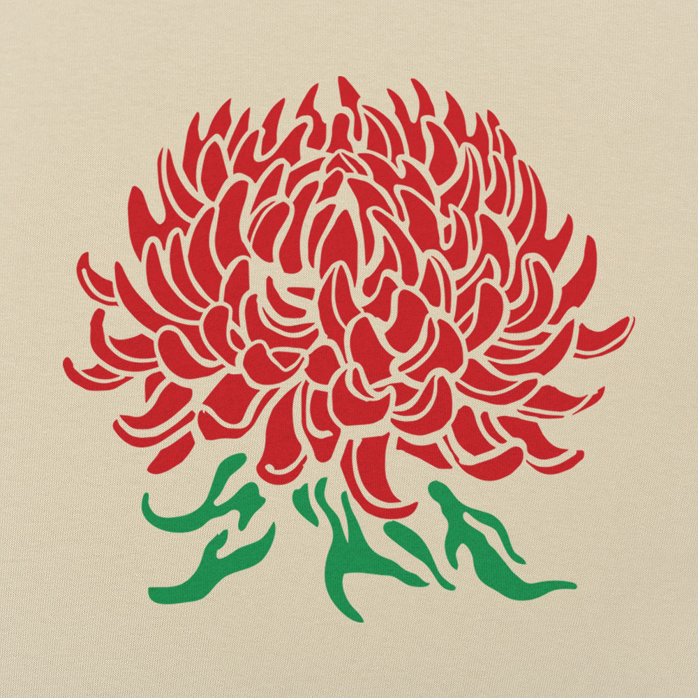 Chrysanthemum