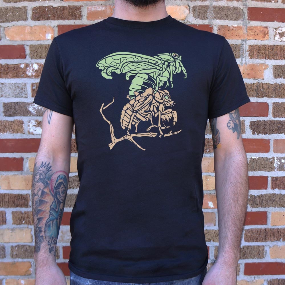 Cicada