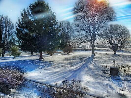 Cold Dawn Print