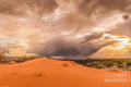 Coral Pink Sand Dunes Print