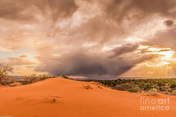Coral Pink Sand Dunes Print