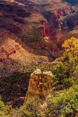 Couple Of Hoodoos Print