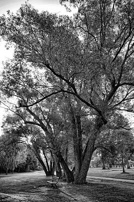 Covid Summer, In Black And White Print