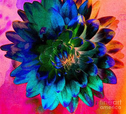 Dahlia With Textures Print
