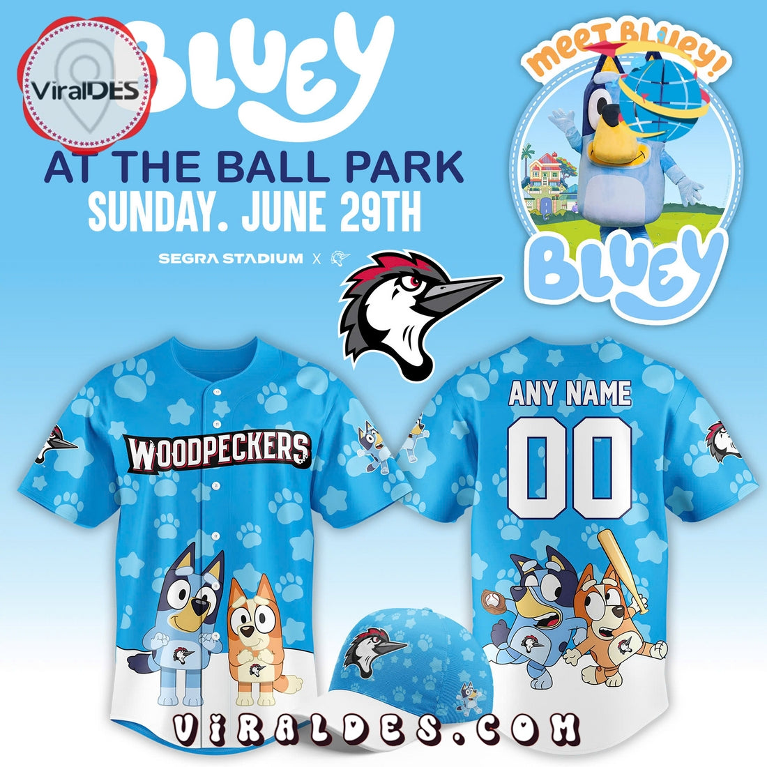 Fayetteville Woodpeckers x Bluey Day 2025 Baseball Jersey