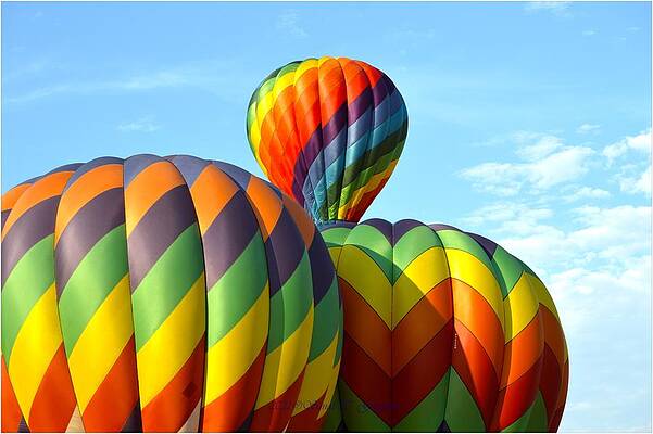 Flying Trio Print