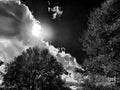 Full Moon Night Print