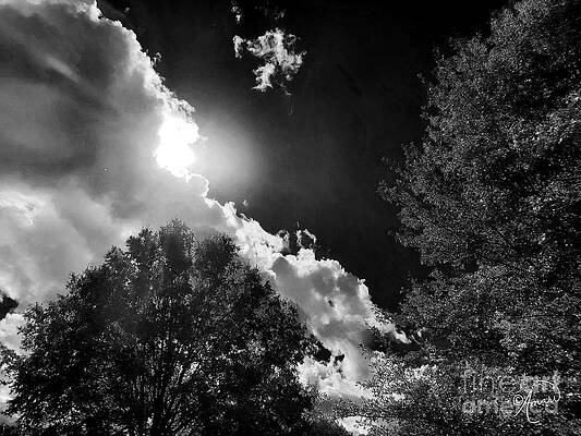 Full Moon Night Print