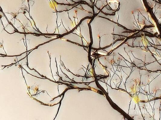 Golden Hues Of Springtime In 2020 Print