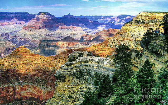 Grand Canyon Lives Print