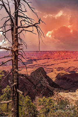 Grand Canyon South Rim 3 Print