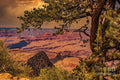 Grand Canyon South Rim Print