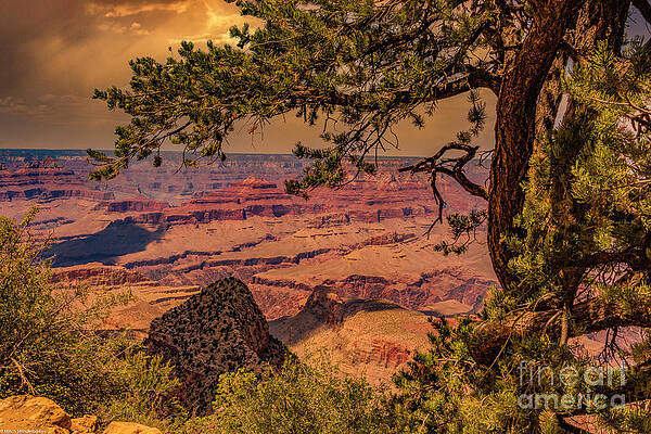 Grand Canyon South Rim Print