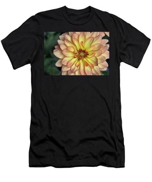 Close-up of Peach Dahlia Flower T-Shirt