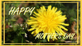 Yellow Dandelion Happy Mother's Day Greeting Print