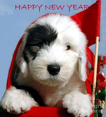 Happy New Year Print