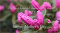 The Most Beautiful Woman Mother's Day Greeting Print