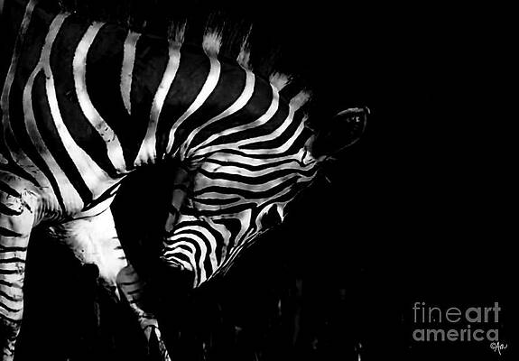 I Can Never Hide In The Dark Print