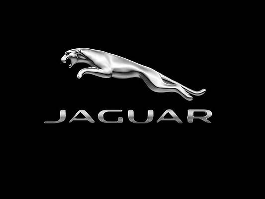 Jaguar Logo Print