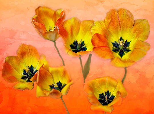 Joyful Springtime Print