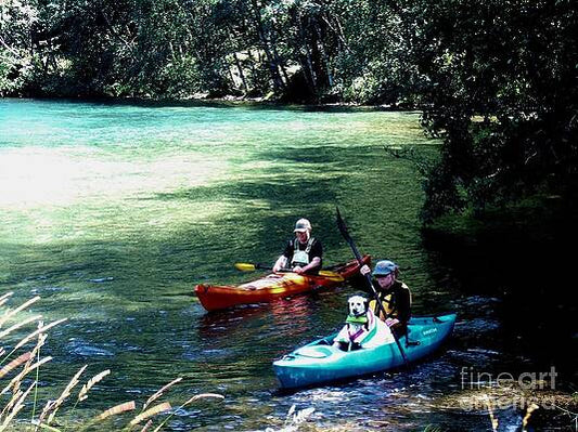 Kayaking With The Dog Print