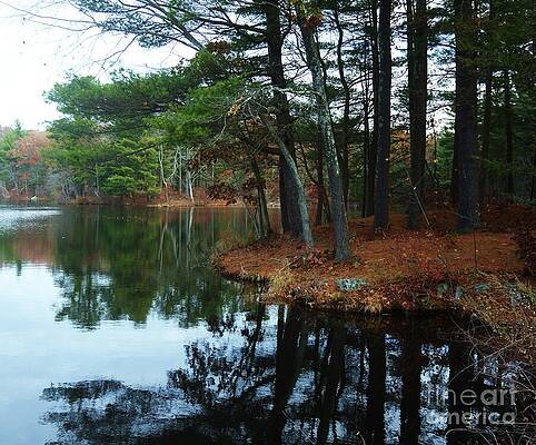 Kingsbury Pond, Medfield, Massachusetts Print
