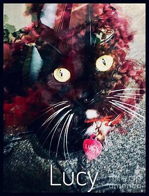 Lucy The Cat Print