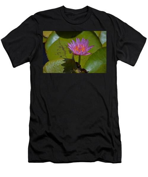 Magenta Waterlily T-Shirt