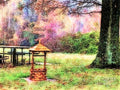 Make A Wish Forest Print