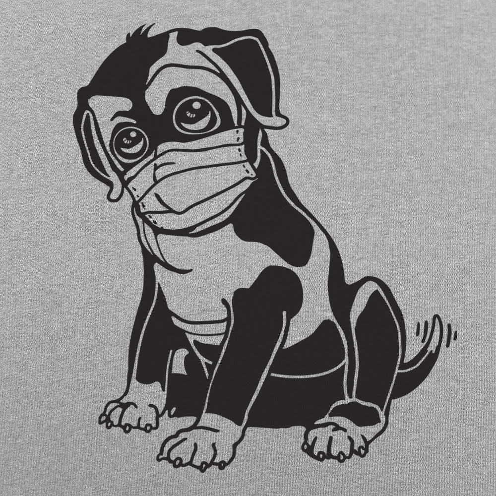 Quarantine Dog