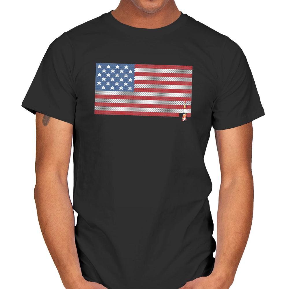 Stars and Stripes and Bricks Exclusive