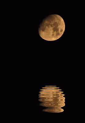 Moon Love Print