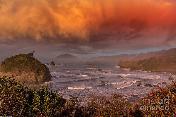Morning On The Lost Coast Print