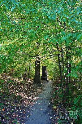 Nature Trail No. 28 Print