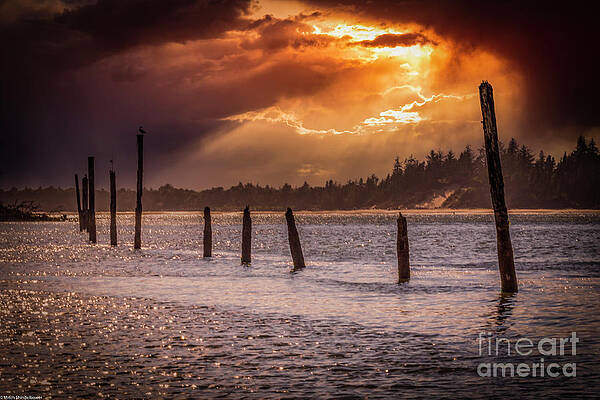 Nehalem River Sunset Print