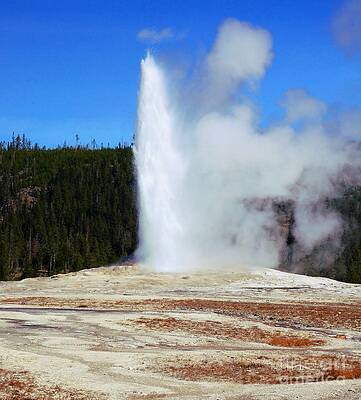 Old Faithful Geyser #6 Print