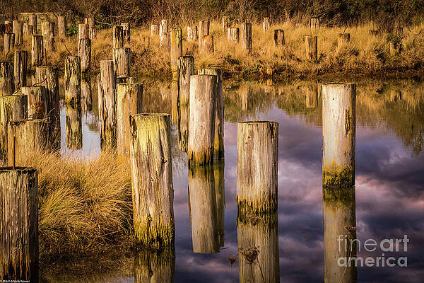 Old Wood Pilings Print