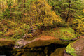 Oregon Autumn Color Print