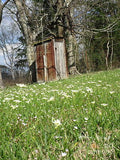Outhouse In Spring Print