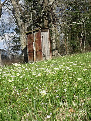 Outhouse In Spring Print