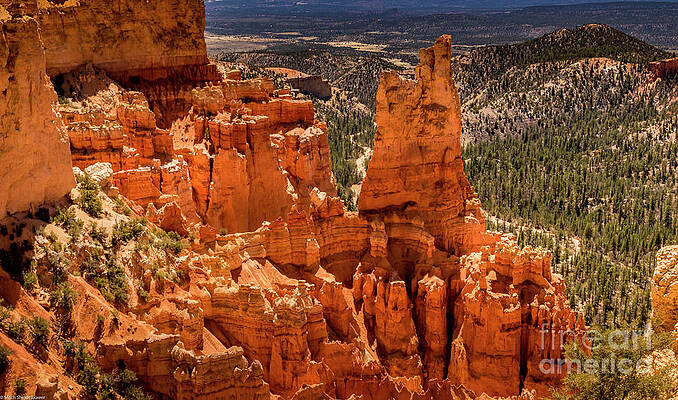 Paria View Bryce Canyon Print