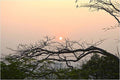 Parvati Sunrise Print