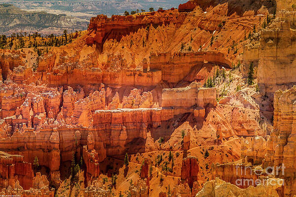 Peekaboo Trail Brice Canyon Print