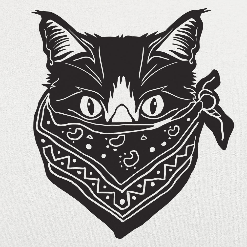 Quarantine Cat